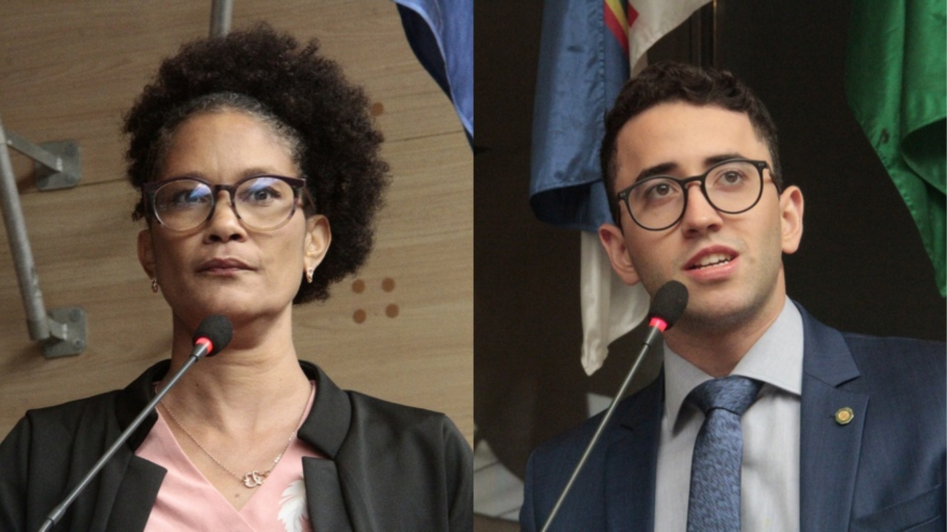 Fotos: Reprodução / Câmara do Recife