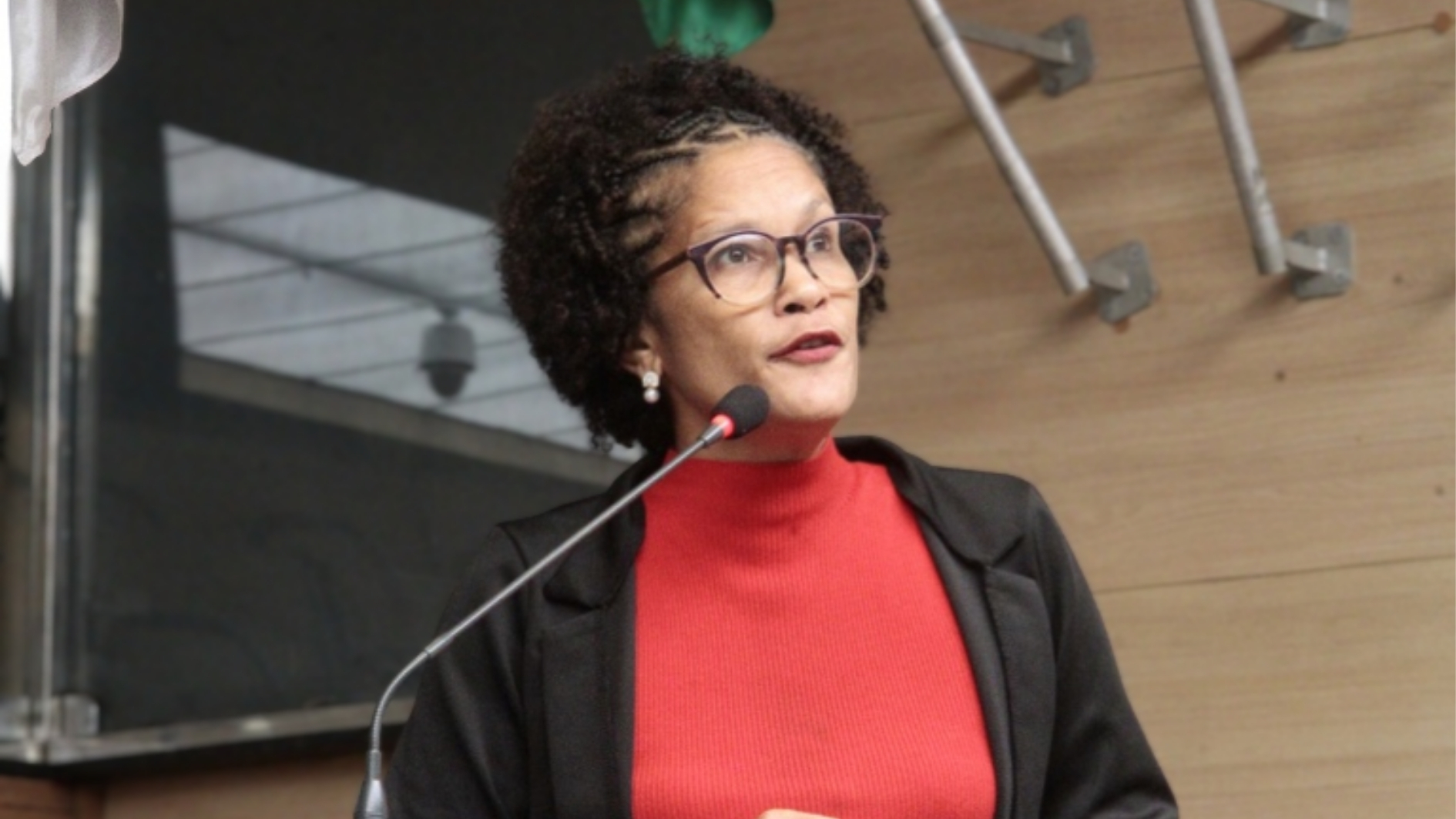 Foto: Reprodução / Câmara do Recife