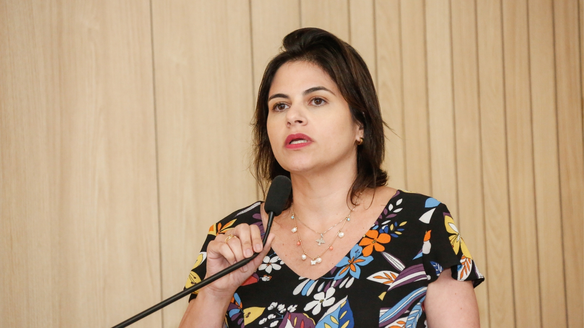 Foto: Roberto Soares / Alepe